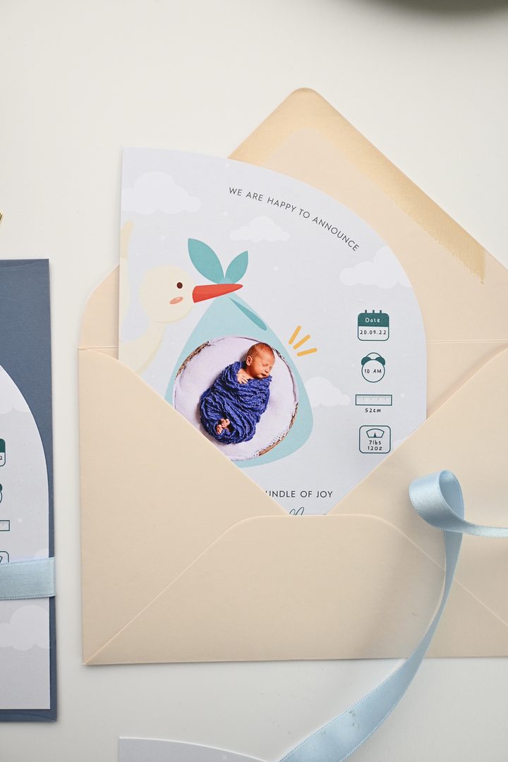 Paperlust die-cut birth announcement card with stork illustration and newborn photo, partially tucked into a cream envelope, soft blue palette