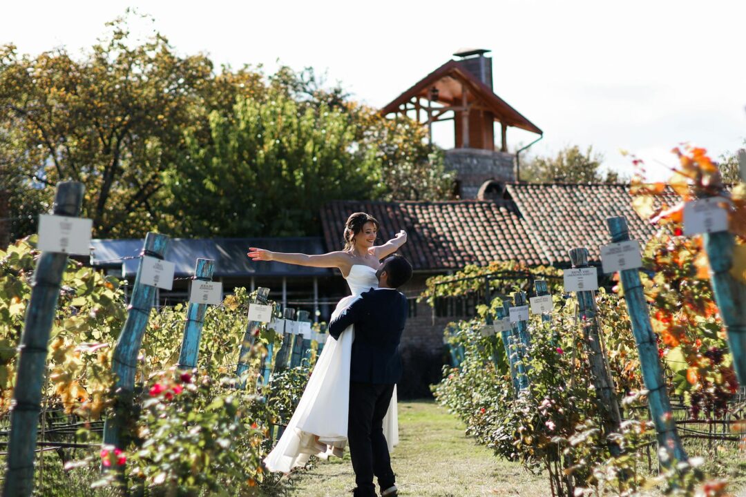 bride and groom first look on vineyard estate path, afternoon light through rows of vines, groom in dark suit, both mid-emotion
