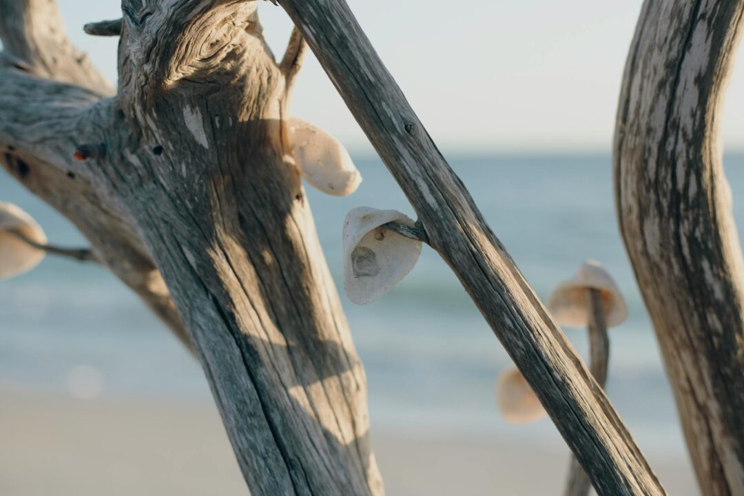 Coastal foil wedding suite on beach driftwood with shells