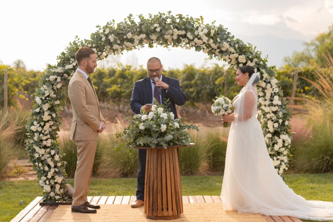 Intimate outdoor ceremony at a vineyard with the wedding officiant and couple visible from behind, facing a small group...