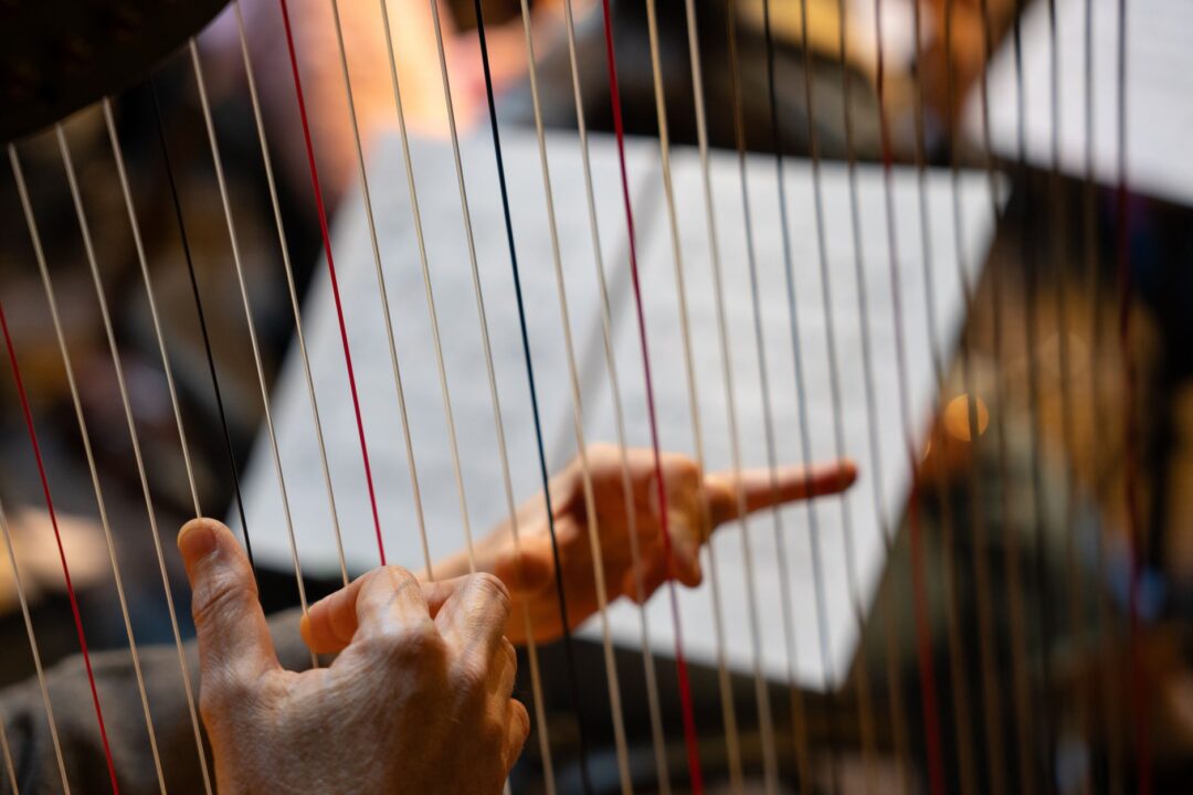 Musician or ensemble PERFORMING at a wedding, a harpist, string quartet, violinist, band, or DJ actually playing an...