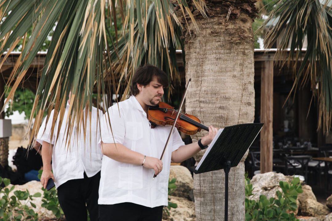String quartet performing at an outdoor garden wedding ceremony, musicians in formal attire seated among white floral...