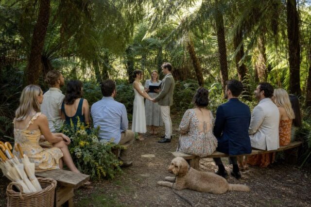 Couple exchanging vows in a sun-dappled fern gully, twelve guests seated on timber benches arranged in a semicircle.
