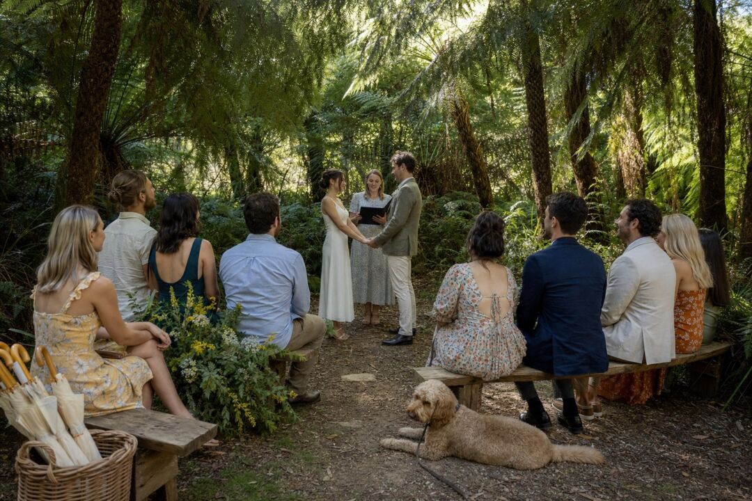 Couple exchanging vows in a sun-dappled fern gully, twelve guests seated on timber benches arranged in a semicircle.